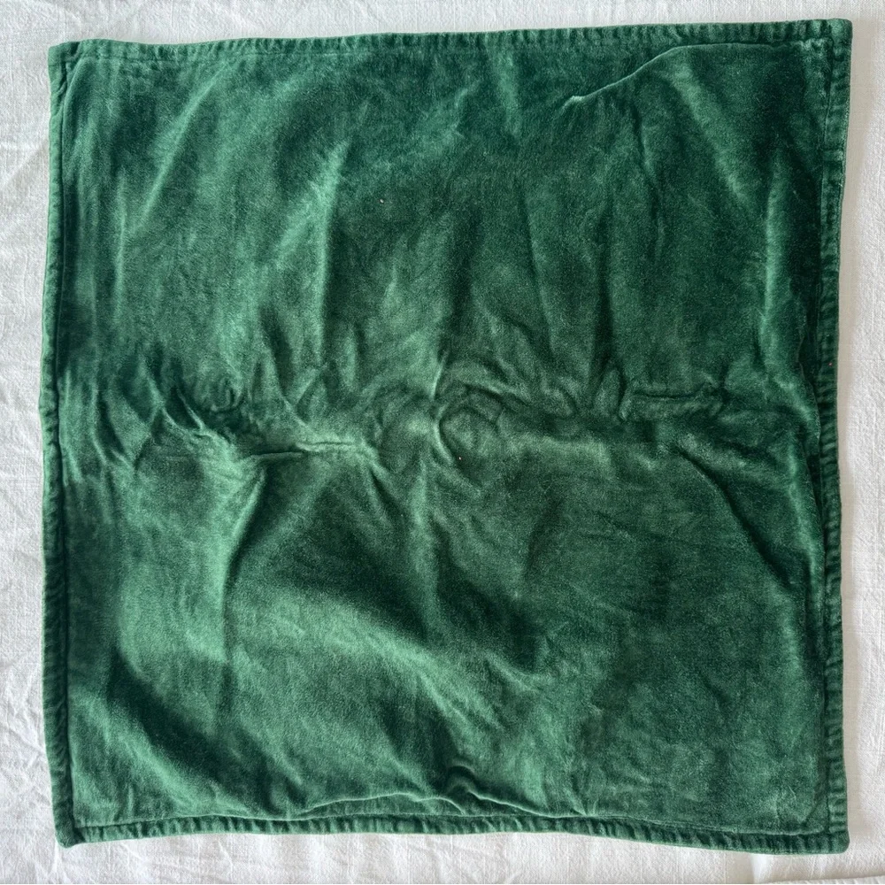 Crate & Barrel Green Organic Washed Cotton Velvet Throw Pillow Cover 20